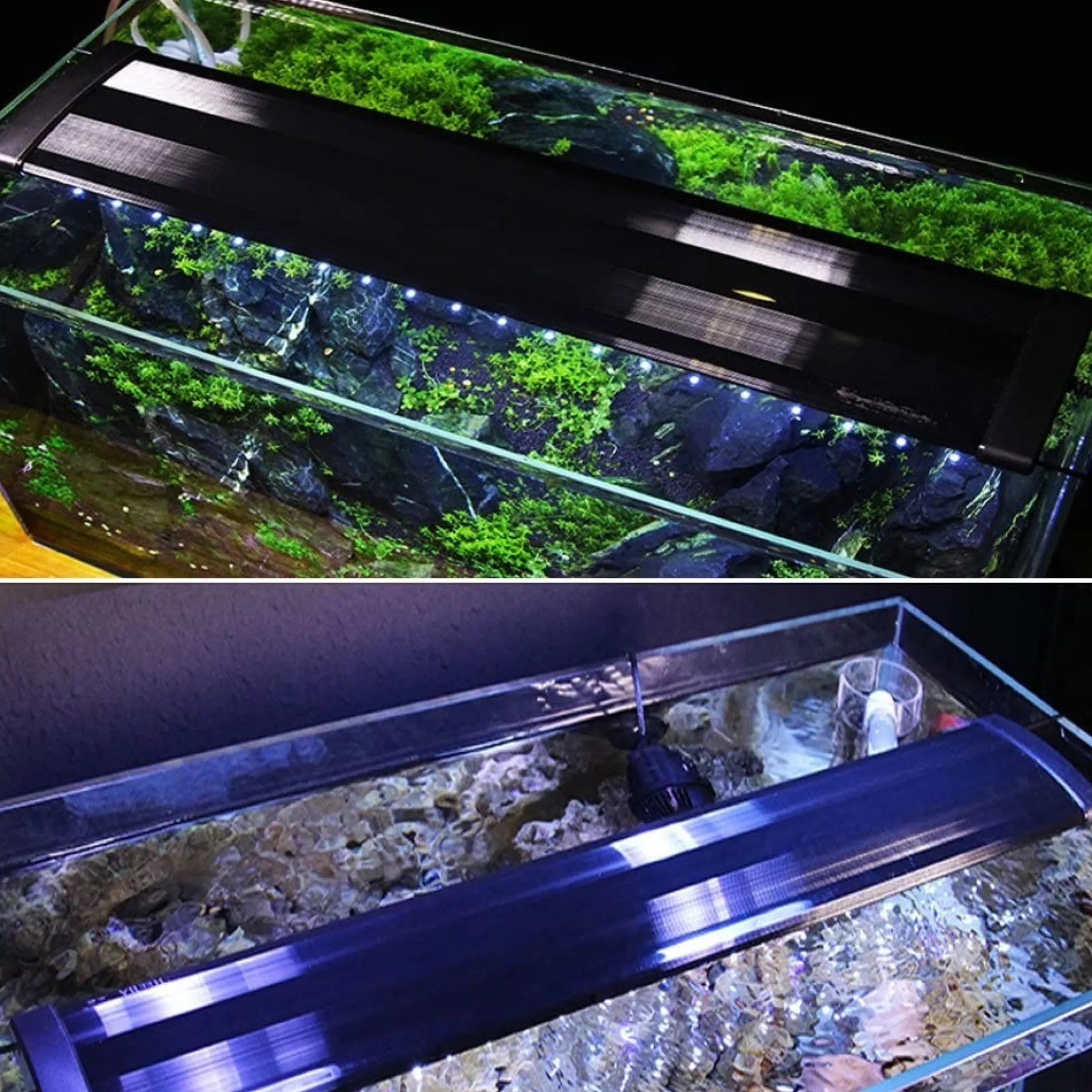 Akvariearmatur, LED, justerbar, hvid/blå - LEDlife