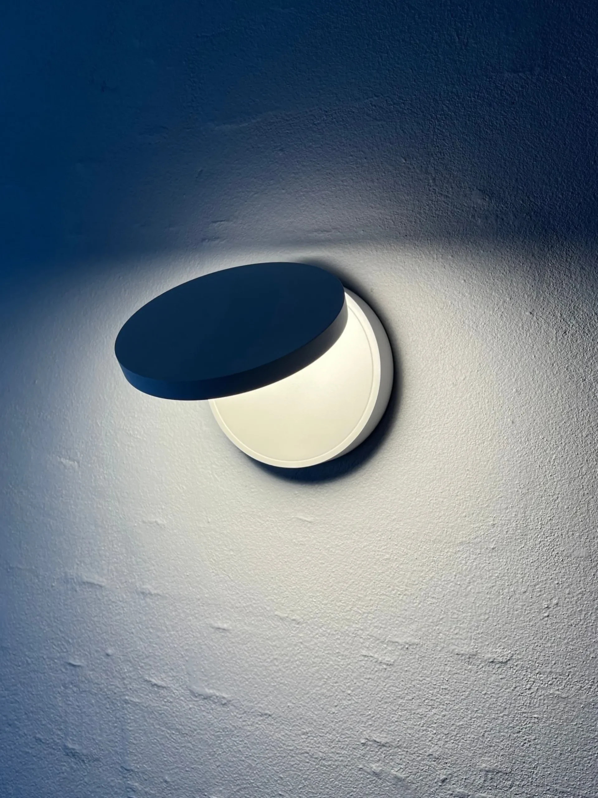 Algedi