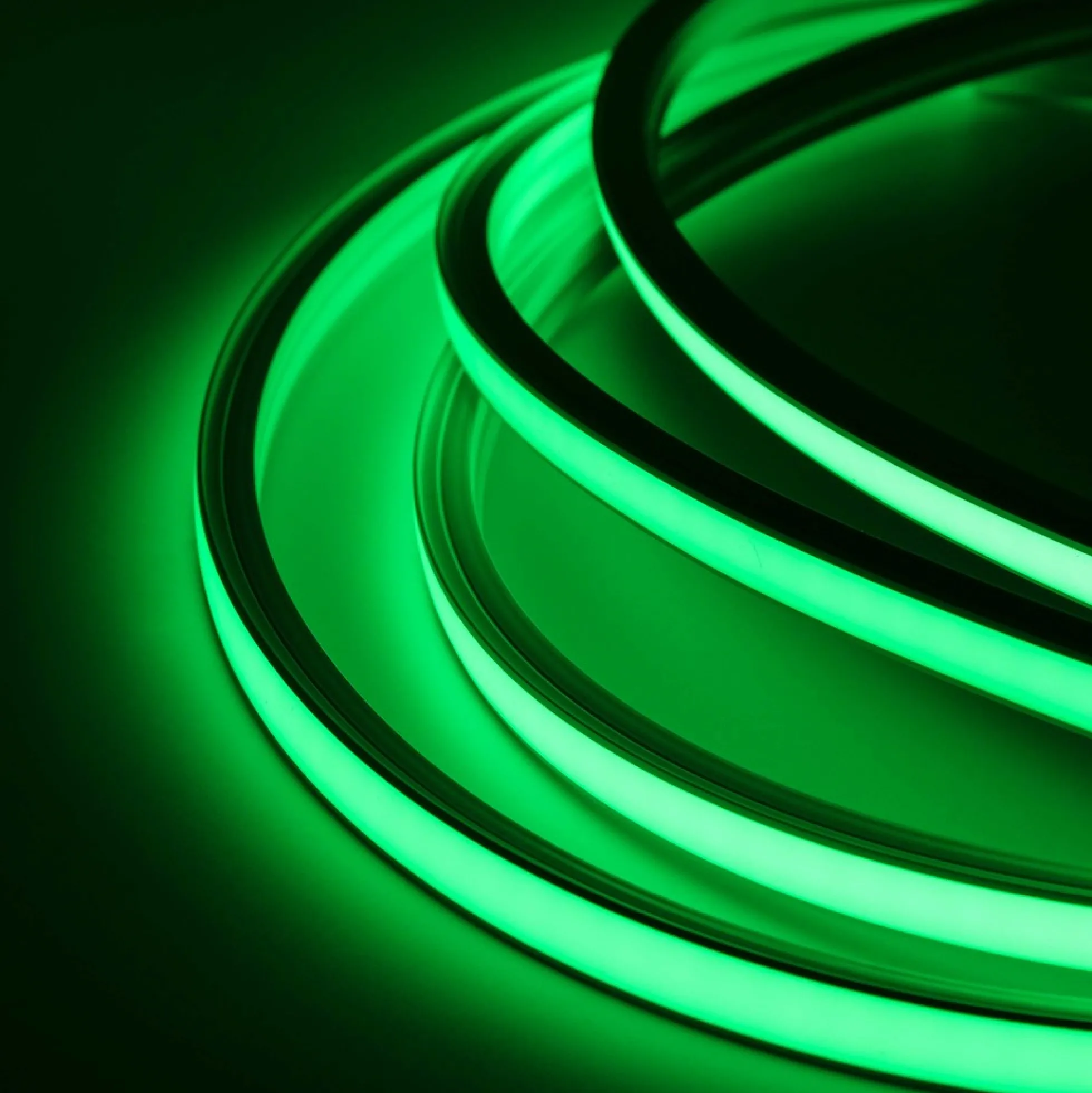 AnyCut Neon Flex LED strip, IP20, 8W/m, 12V - 5 meter
