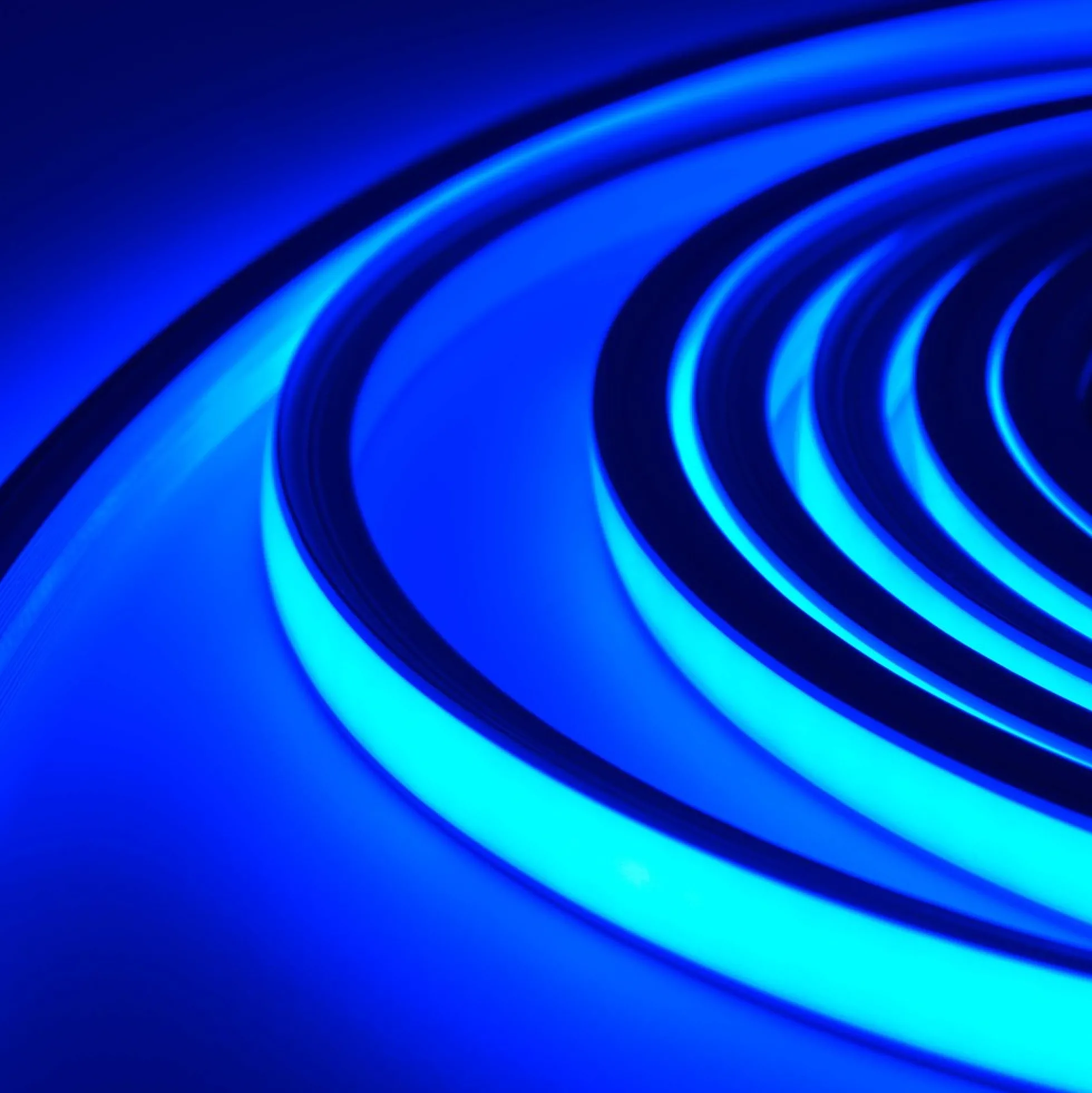 AnyCut Neon Flex LED strip, IP20, 8W/m, 12V - 5 meter