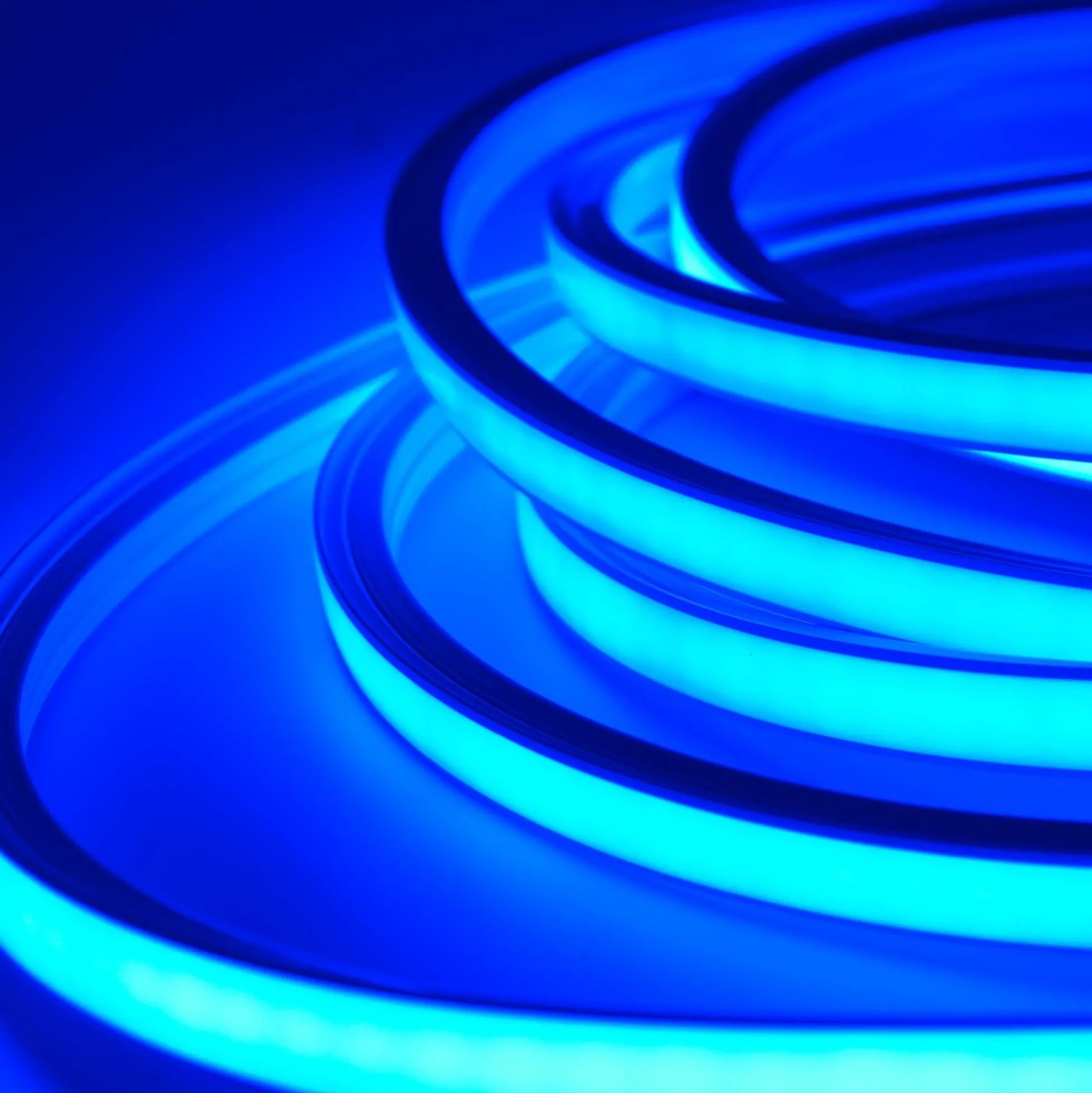 AnyCut Neon Flex LED strip, IP20, 8W/m, 12V - 5 meter