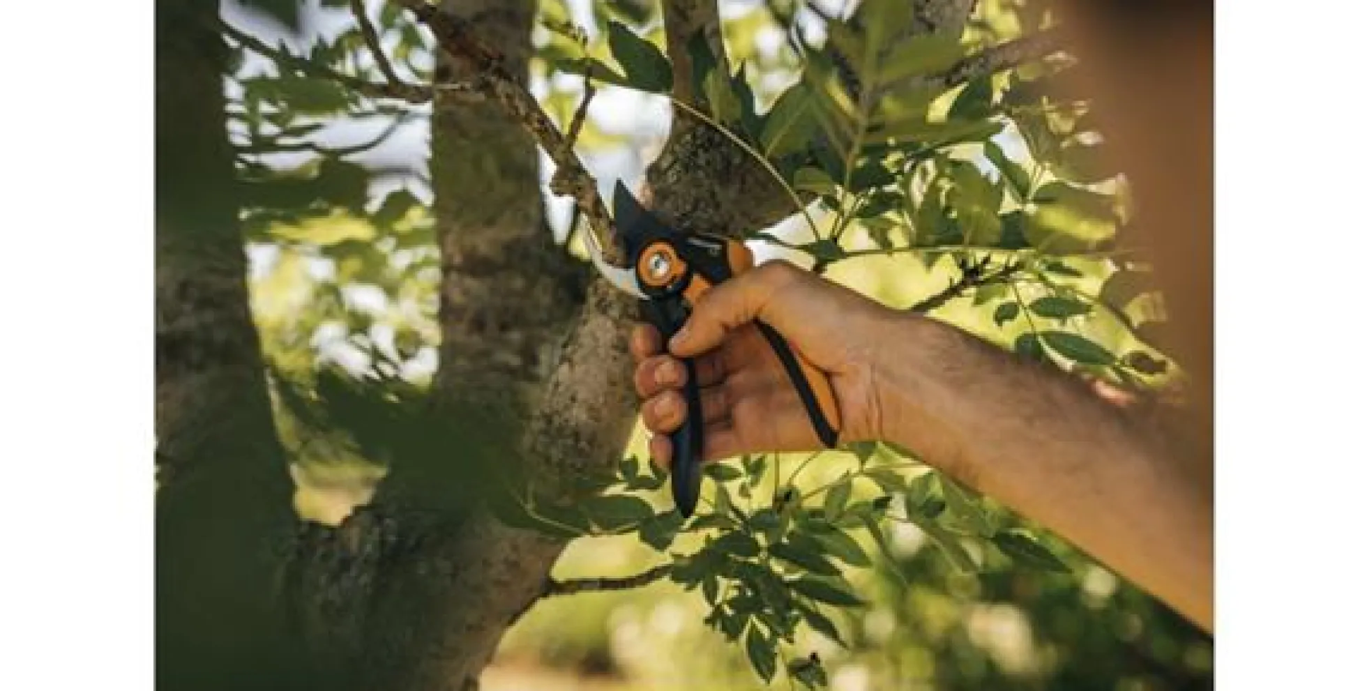 Beskæresaks Plus SmartFit P541 - Fiskars