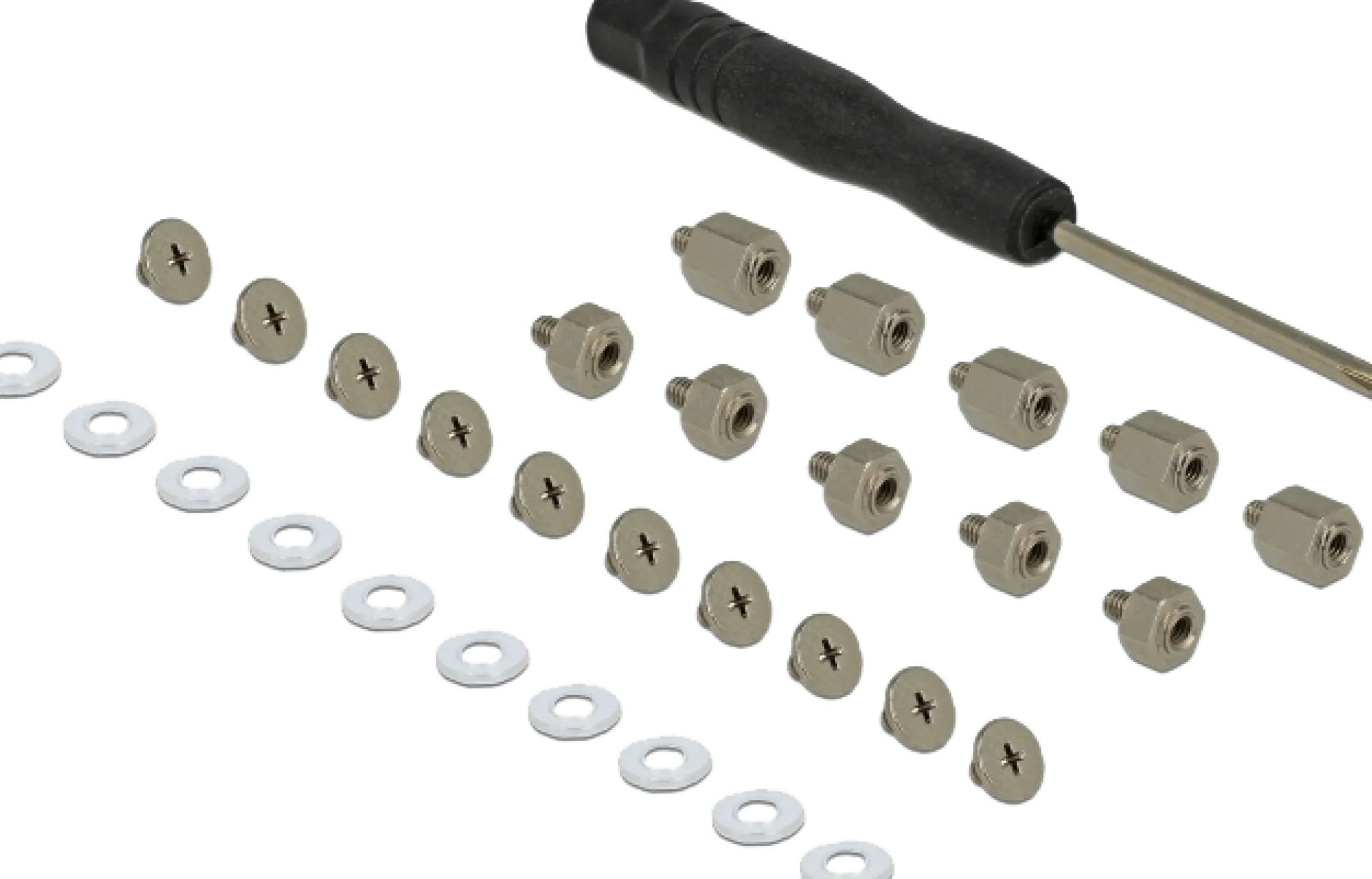 Delock Mounting Kit 31 pieces for M.2 SSD / Module