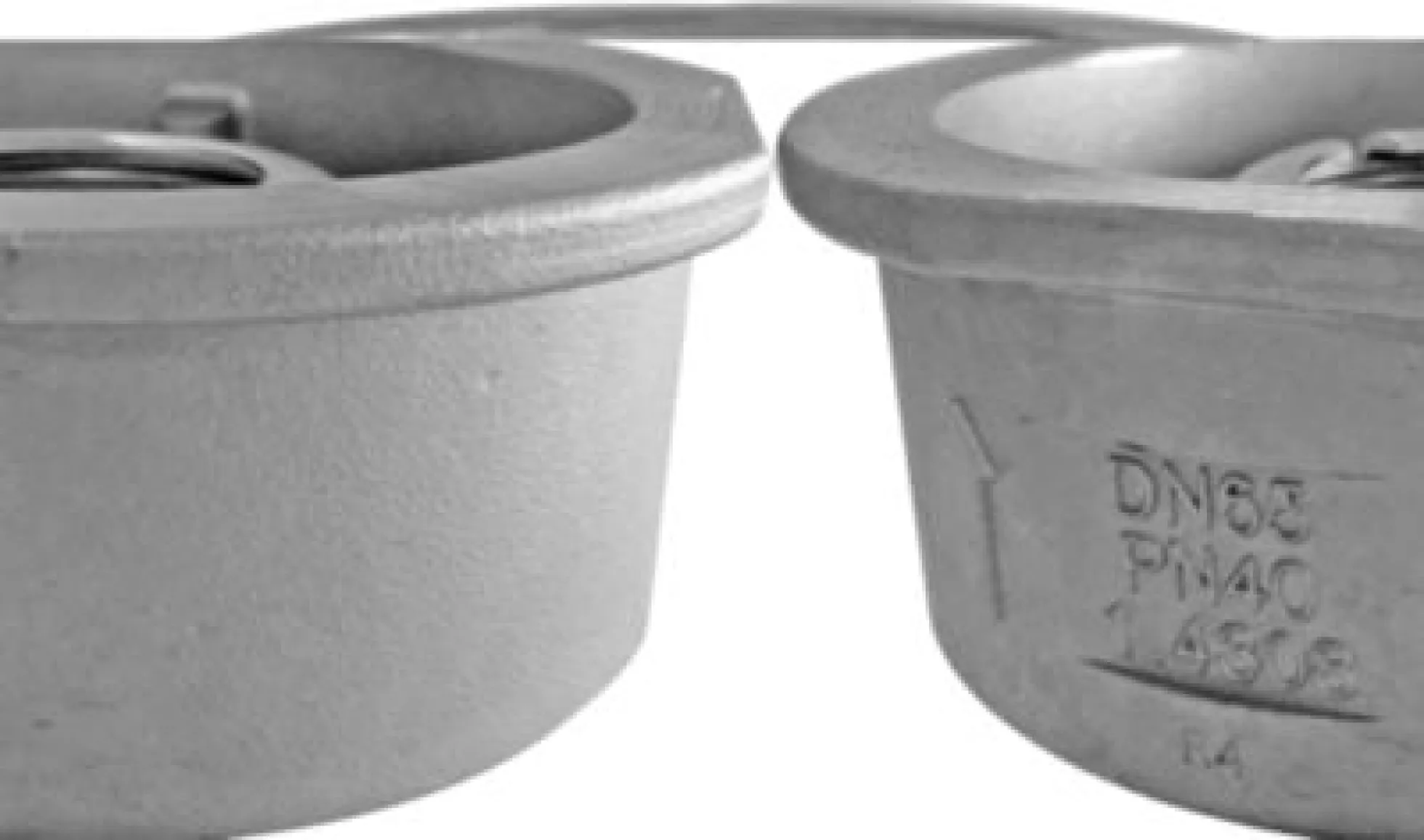 EGO kontraventil DN65 med fjeder, type 2026ss