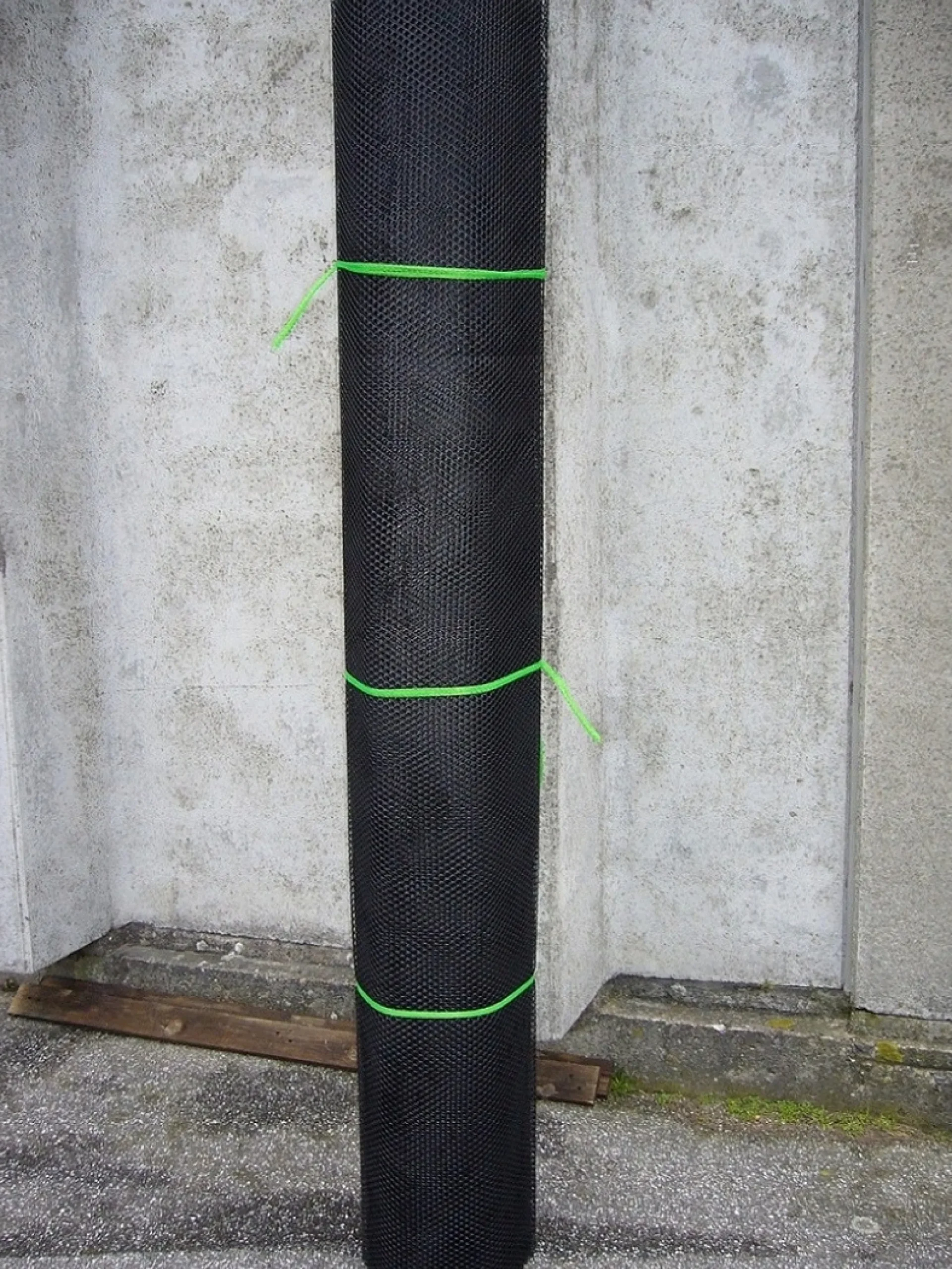 Expo-net armeringsnet, 2 x 25 m, 6 x 8 x 2,9 mm, sort - 1211L