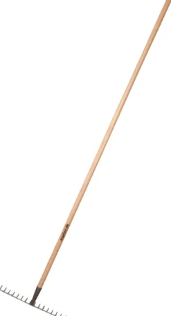 Galax rive, 16-tands, 40,0 cm