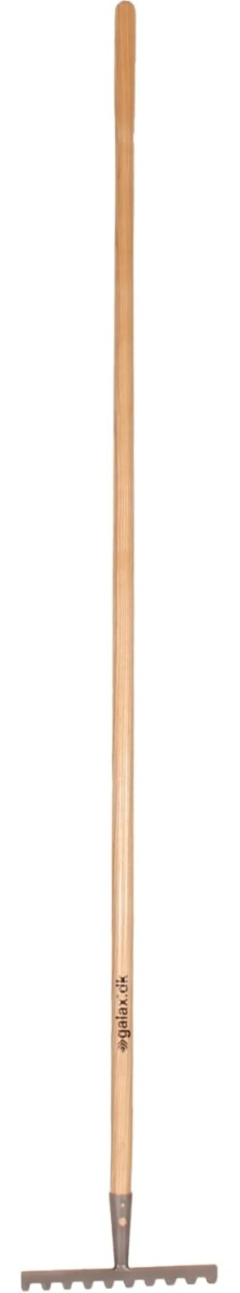 Galax rive, 10-tands, 25,2 cm