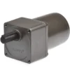 Gear motor YN70 8RPM