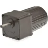 Gear motor YN60 8RPM