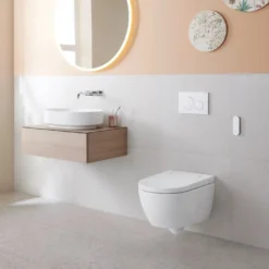 Geberit Alba AquaClean douchetoilet inkl sæde