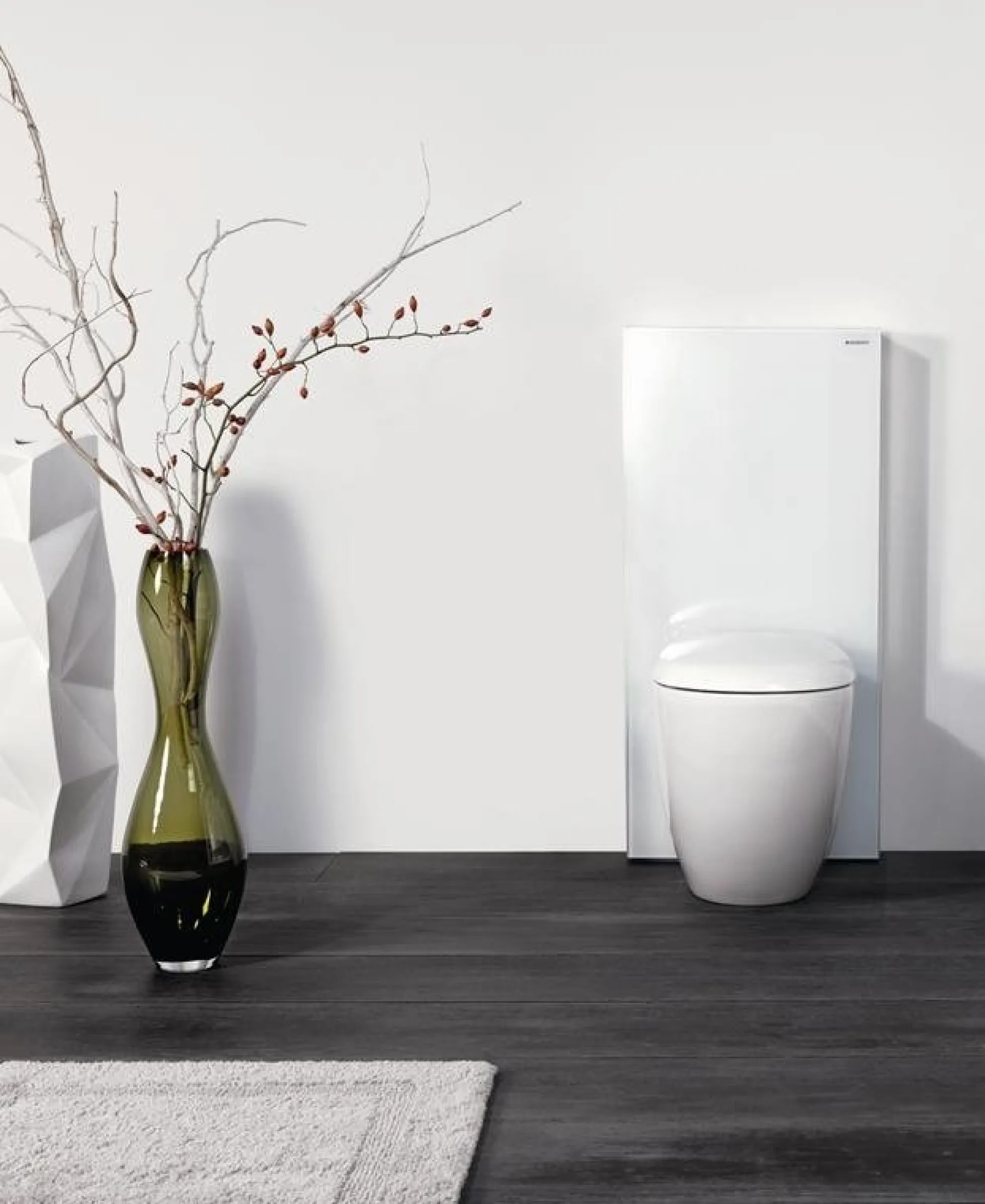Geberit Monolith cisterne (back-to-wall toilet)