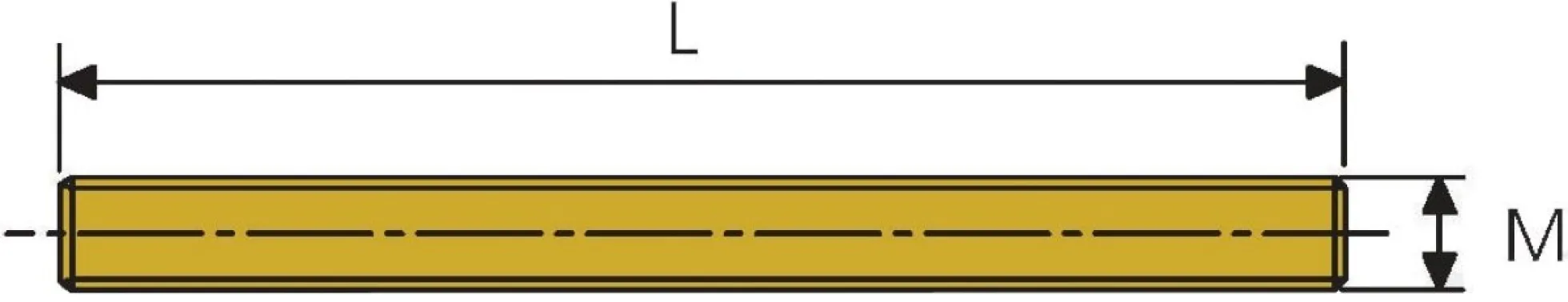 Gevindstang, rustfri, syrefast, 1 m, M10