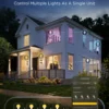 Govee E27 Smart Edison G80 Light Bulb, smart LED-globepære, 500 lm, dæmpbar, 2-pak