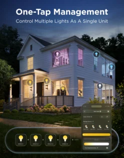 Govee E27 Smart Edison G80 Light Bulb, smart LED-globepære, 500 lm, dæmpbar, 2-pak