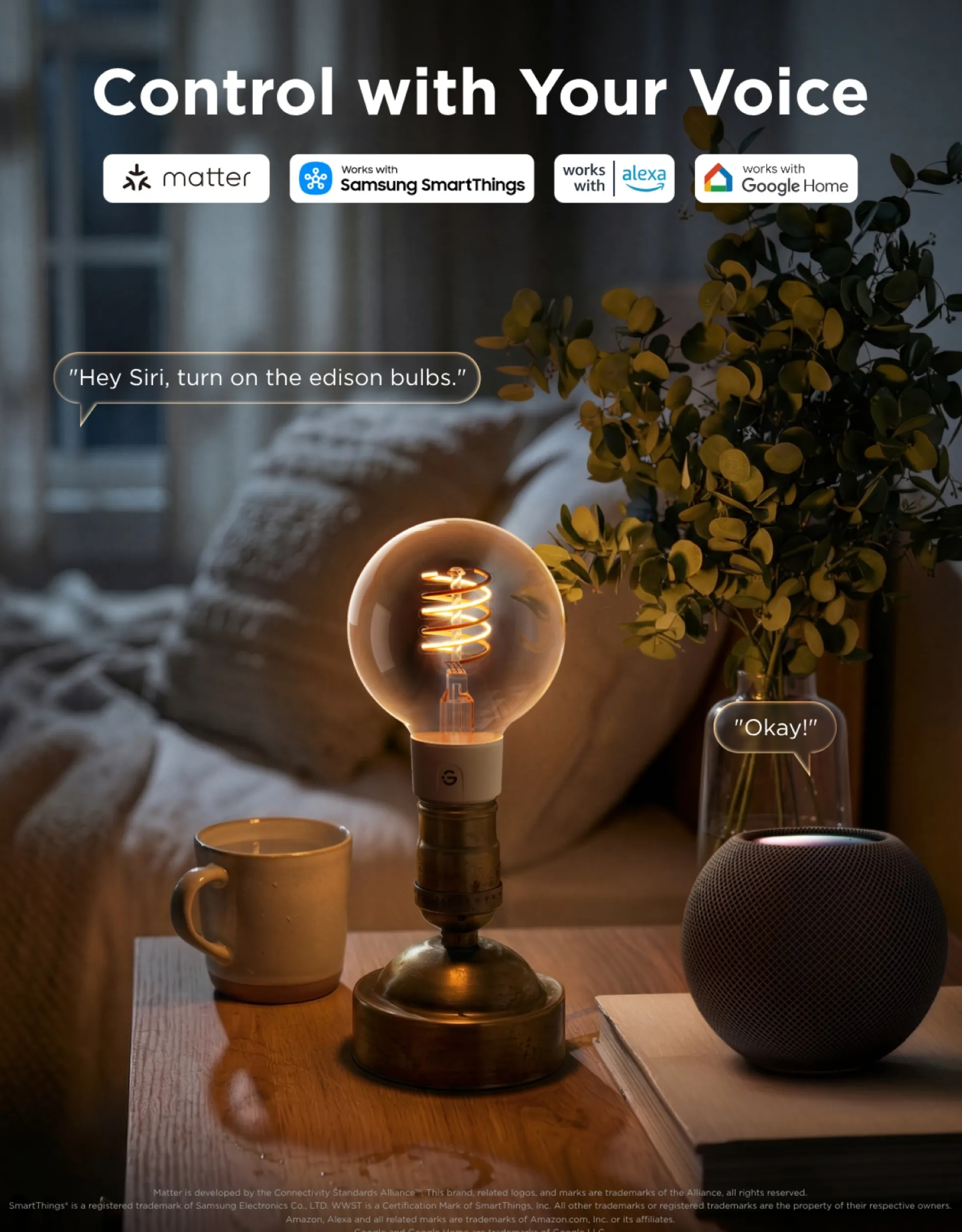 Govee E27 Smart Edison G80 Light Bulb, smart LED-globepære, 500 lm, dæmpbar, 2-pak