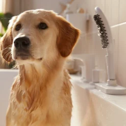 Hansgrohe DogShower håndbruser til hunde, 3 stråletyper, hundebruser
