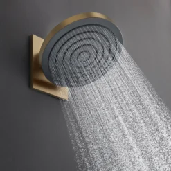 Hansgrohe Pulsify S hovedbruser 260, EcoSmart