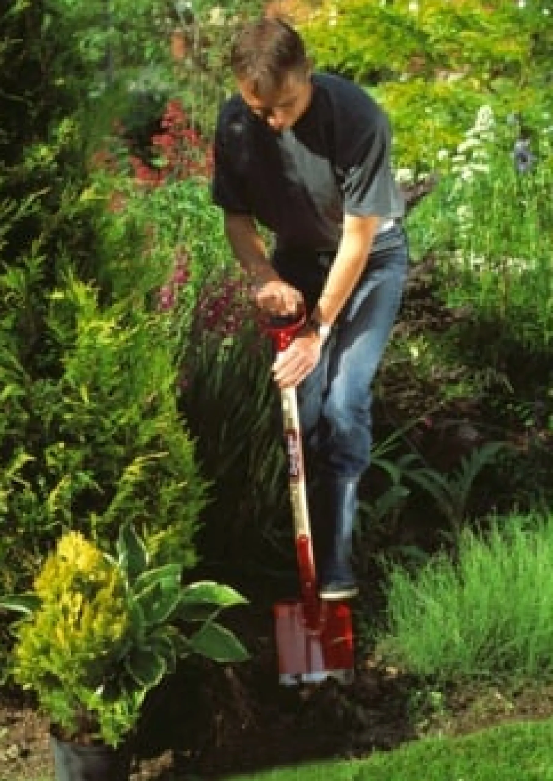Havespade kort model, 106 cm, 19,5 cm, 1,85 kg - Zinck Lysbro