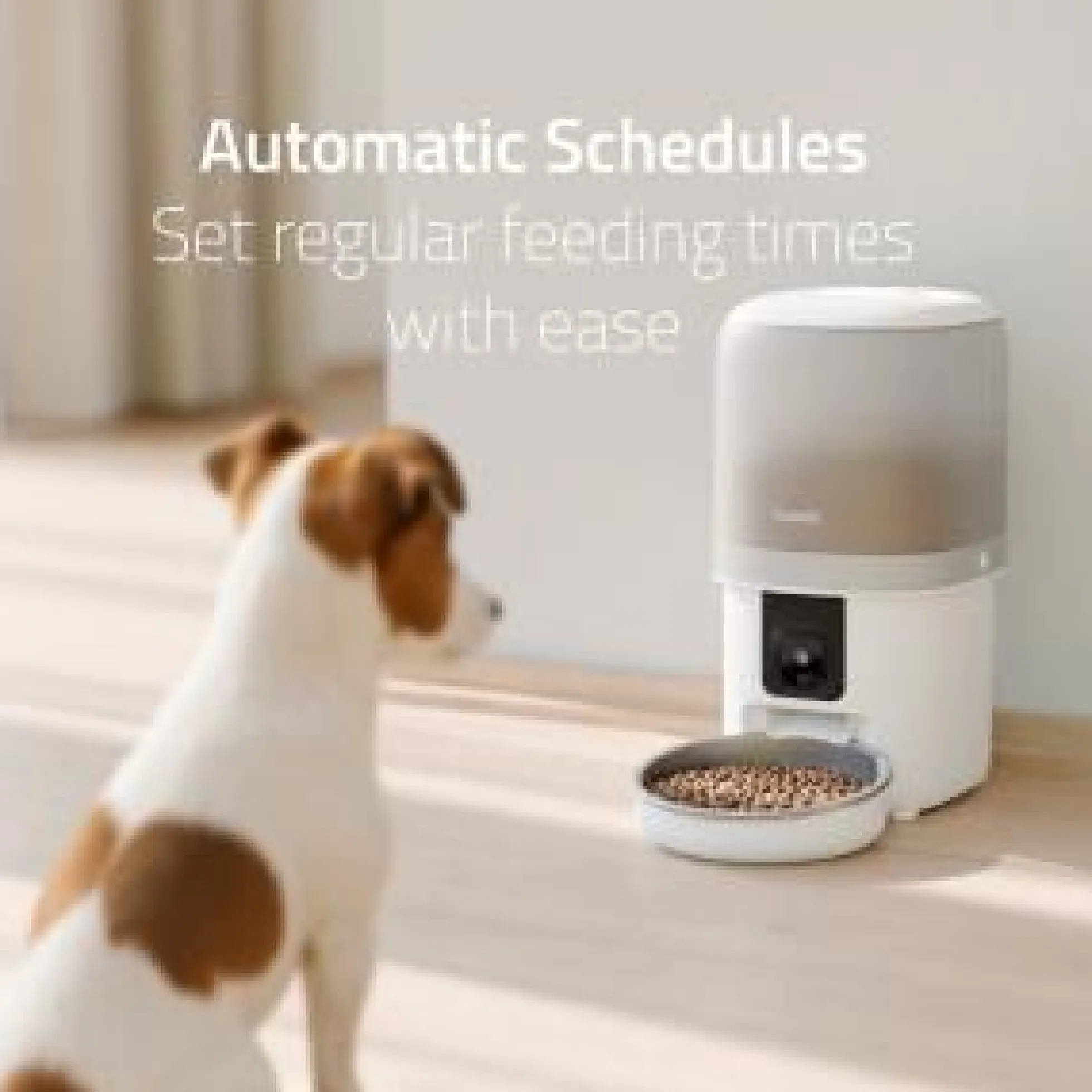 Hombli Smart Pet Feeder, automatisk foderautomat med kamera