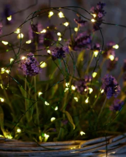 Knirke lyskæde, 40 LED, 3,9 meter, klar/grøn