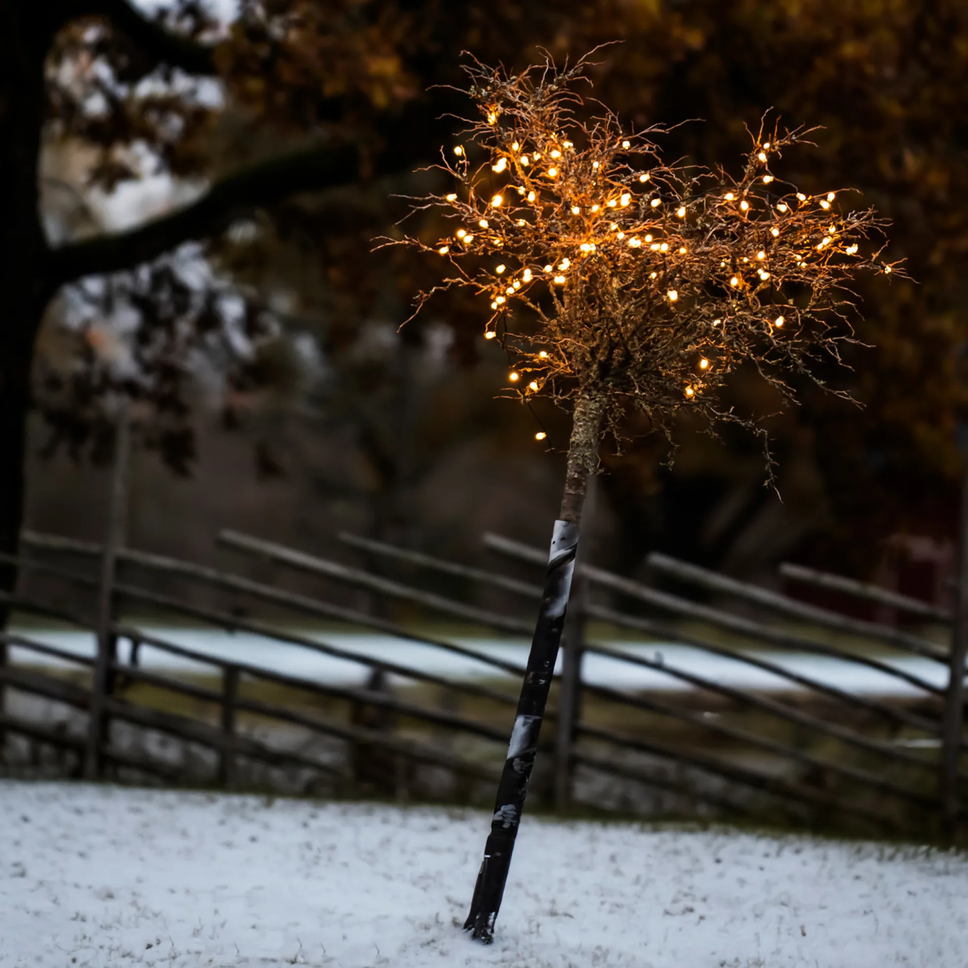 Konstsmide lyskæde, 100 amber LED