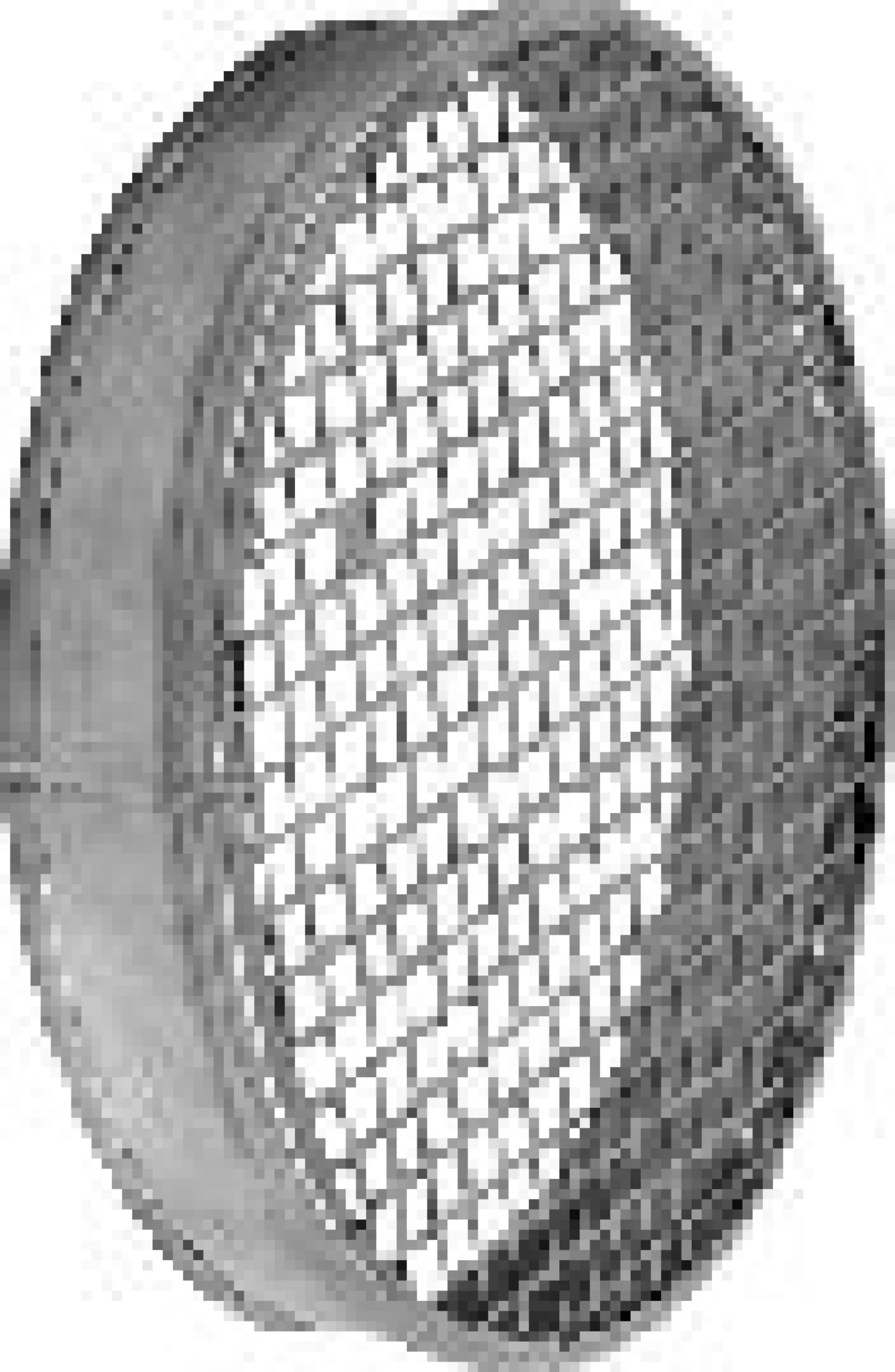 Øland Endebund med net, Ø160 mm, EBMN-160