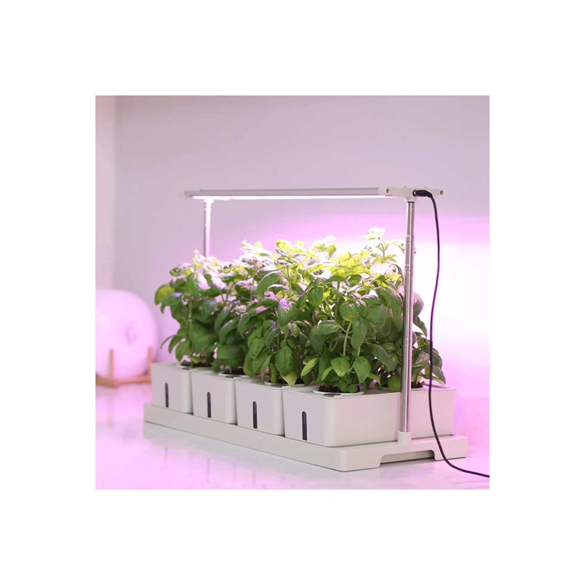 LEDlife hydroponisk plantebakke, Hvid, inkl. vækstlys, 20 pladser, 4x2L vandtank