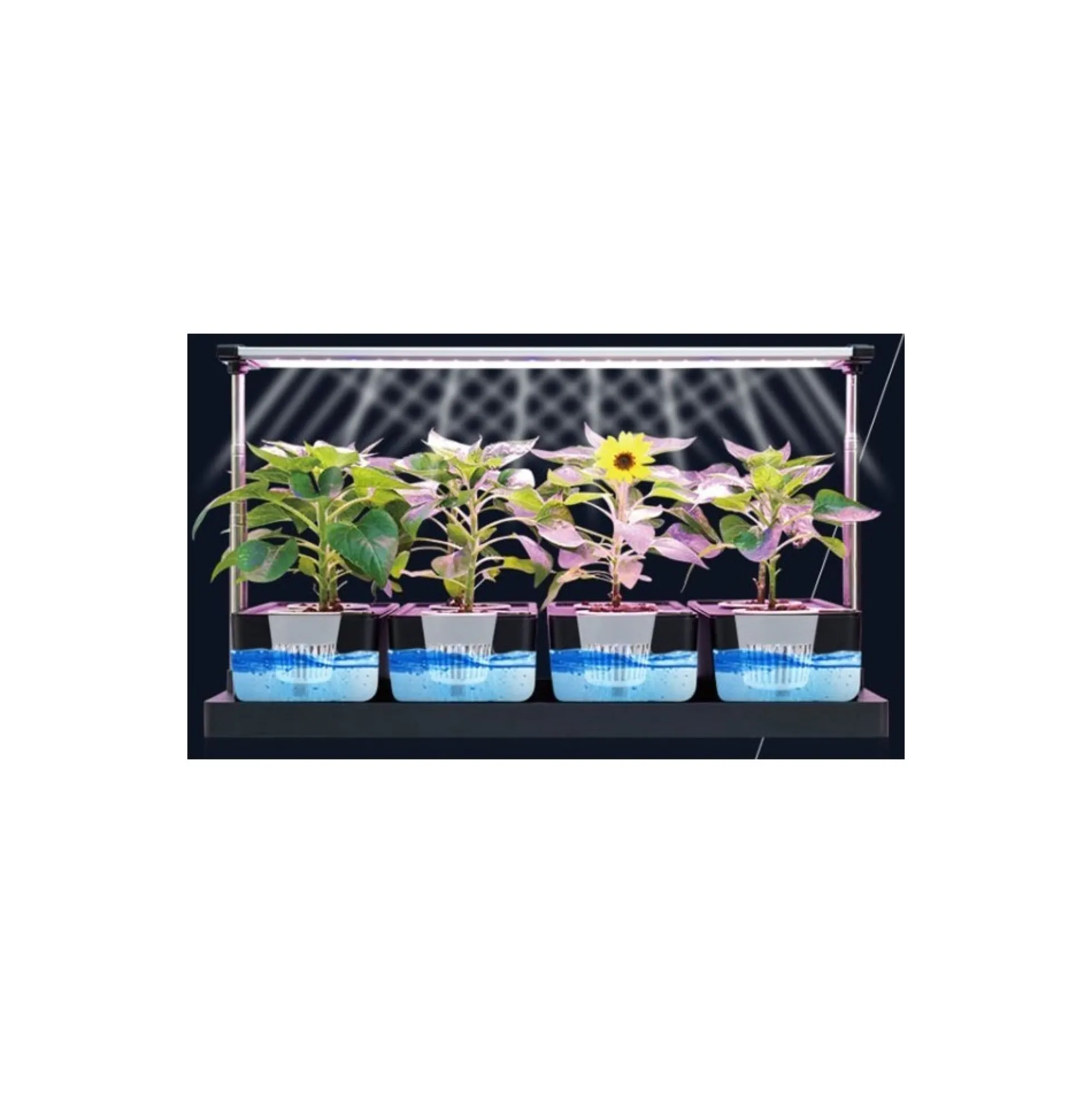 LEDlife hydroponisk plantebakke, Hvid, inkl. vækstlys, 20 pladser, 4x2L vandtank