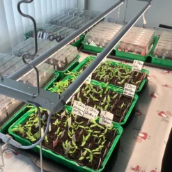 LEDlife Pro-Grow 2.0 vækst sæt, 2stk, LED, fuldt spektrum