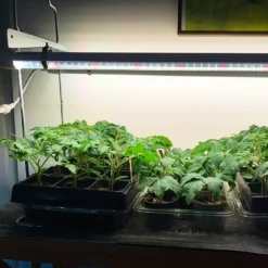 LEDlife Pro-Grow 2.0 vækst sæt, 2stk, LED, fuldt spektrum