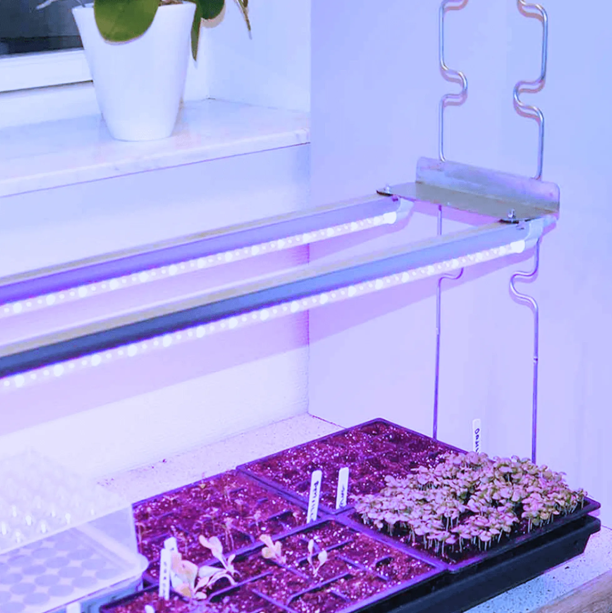 LEDlife Pro-Grow 2.0 vækst sæt, 2stk, LED, fuldt spektrum