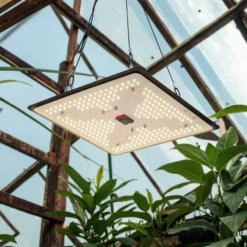 LEDlife Quantum vækstlampe, 105W, fuldt spektrum, IP65