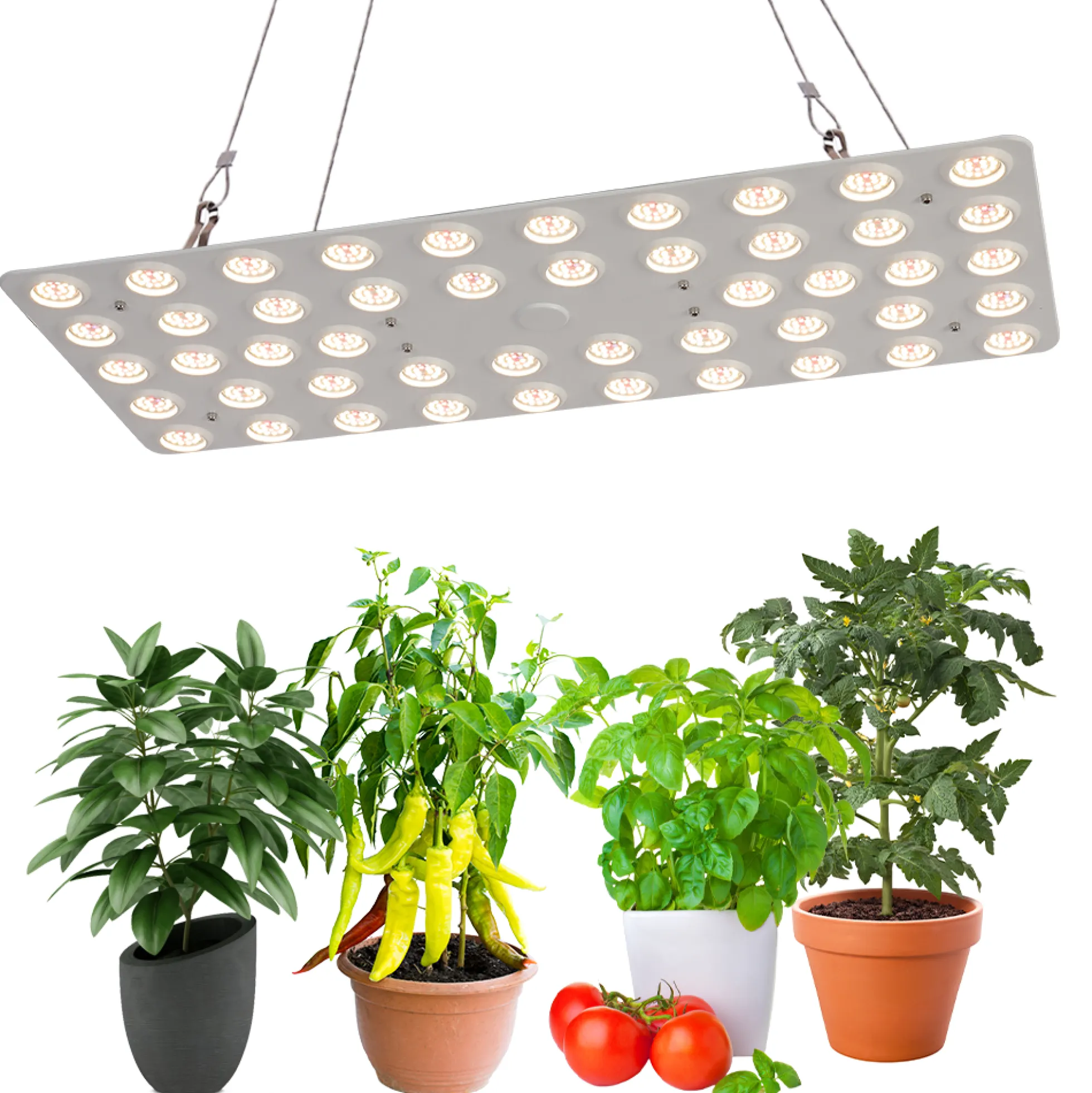 LEDlife Vækstlampe 240W, fuldt spektrum, IP65, 38000 lumen, aluminium