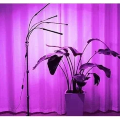 LEDlife vækstlys med stativ, Sort, 4 lamper, justerbar højde og fleksible arme, 15W, 230V input