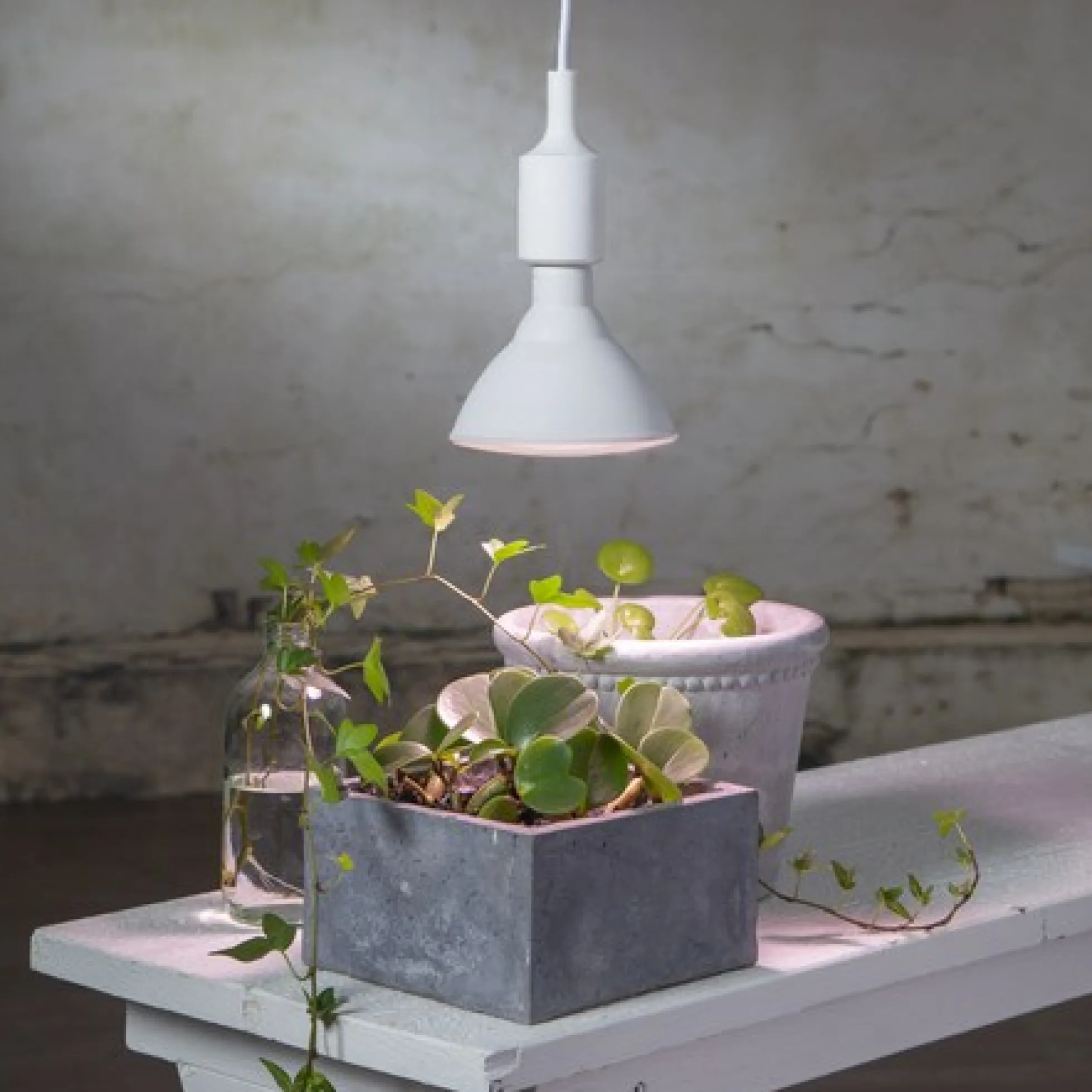LED vækstpære plantelys, 16W, E27