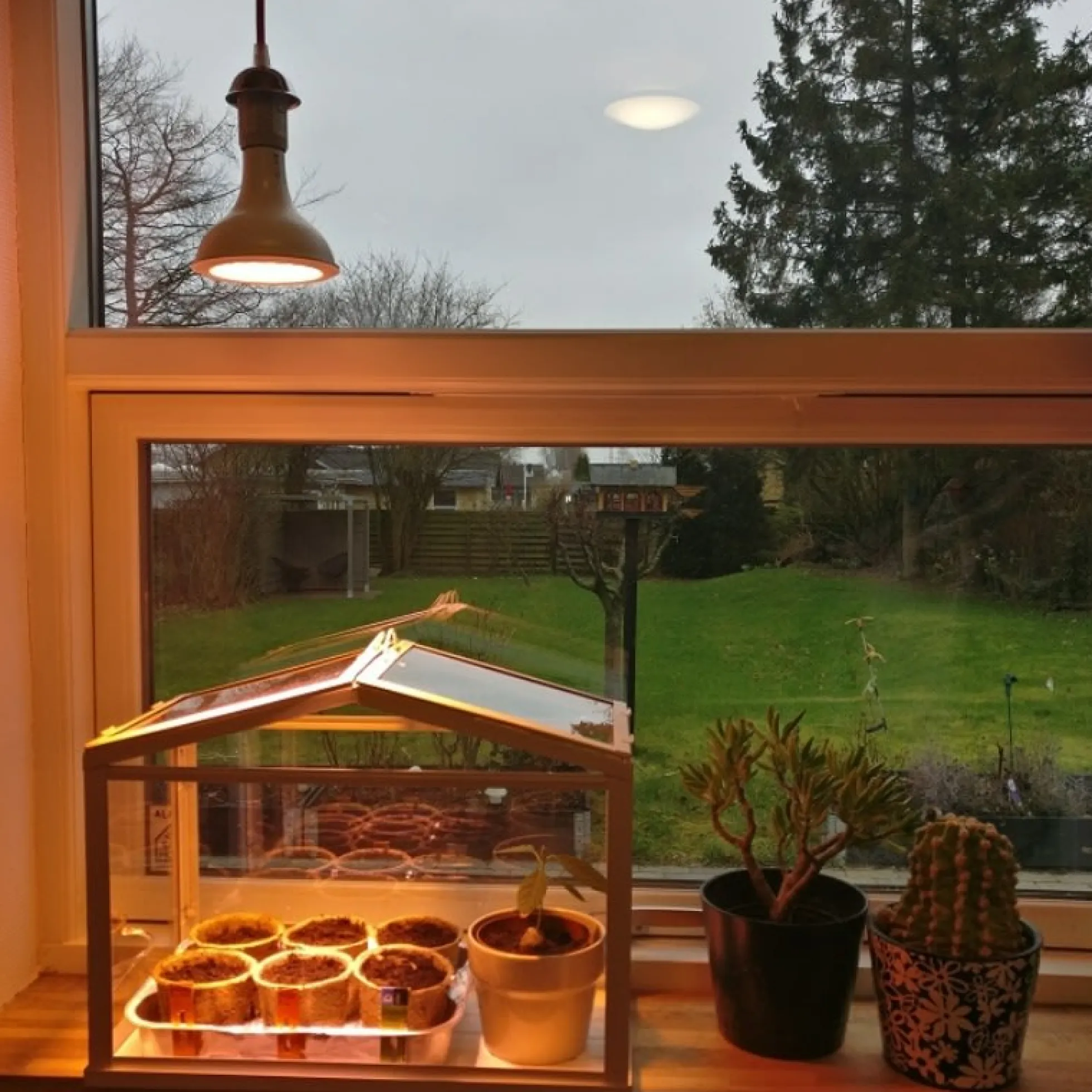 LED vækstpære plantelys, 16W, E27
