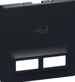 LK FUGA®, Afdækning til dobbelt USB-lader, 1 modul – Lauritz Knudsen