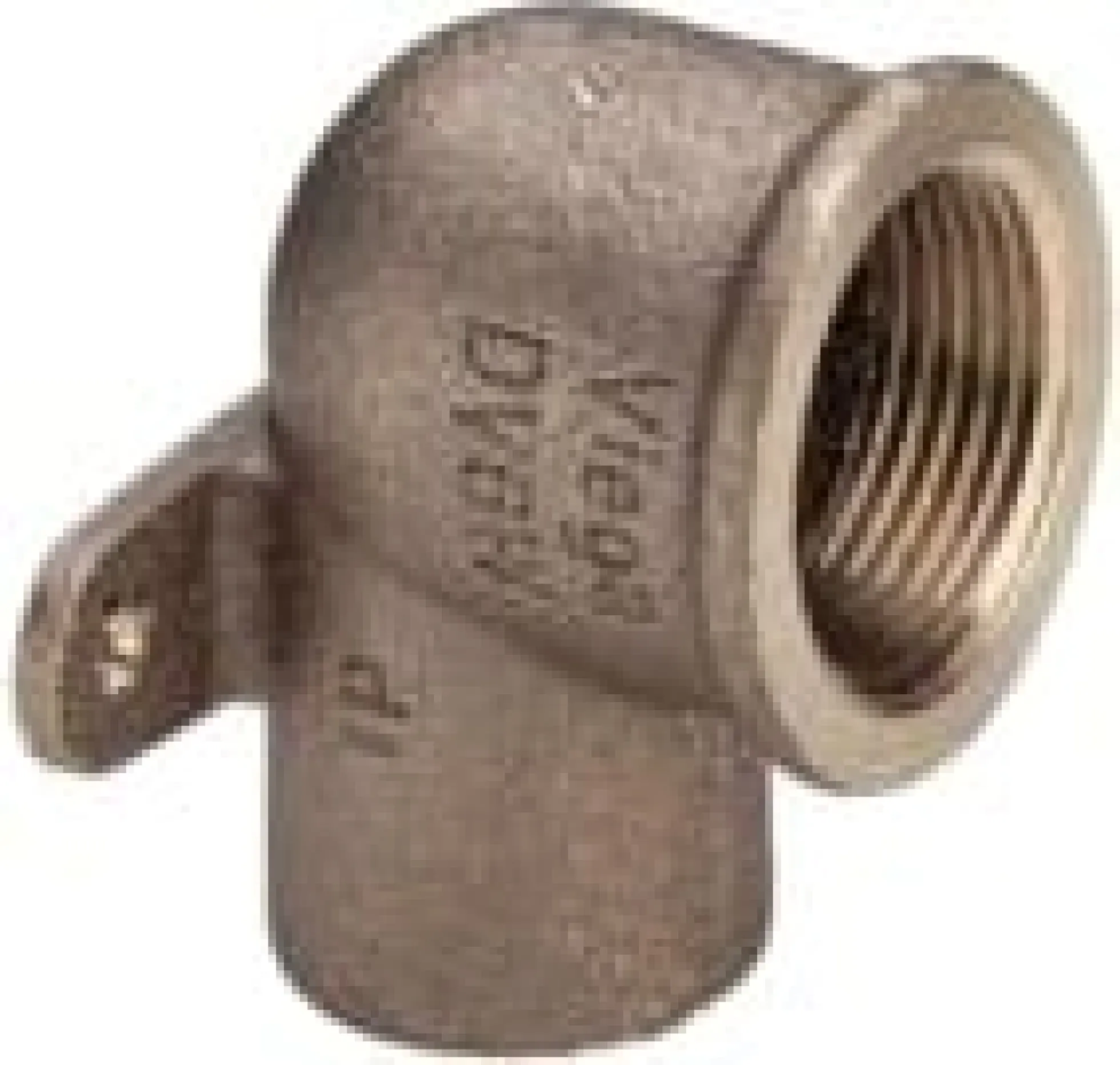 Lodde dækvinkel 90° m. muffe/gevindmuffe (3 lapper)