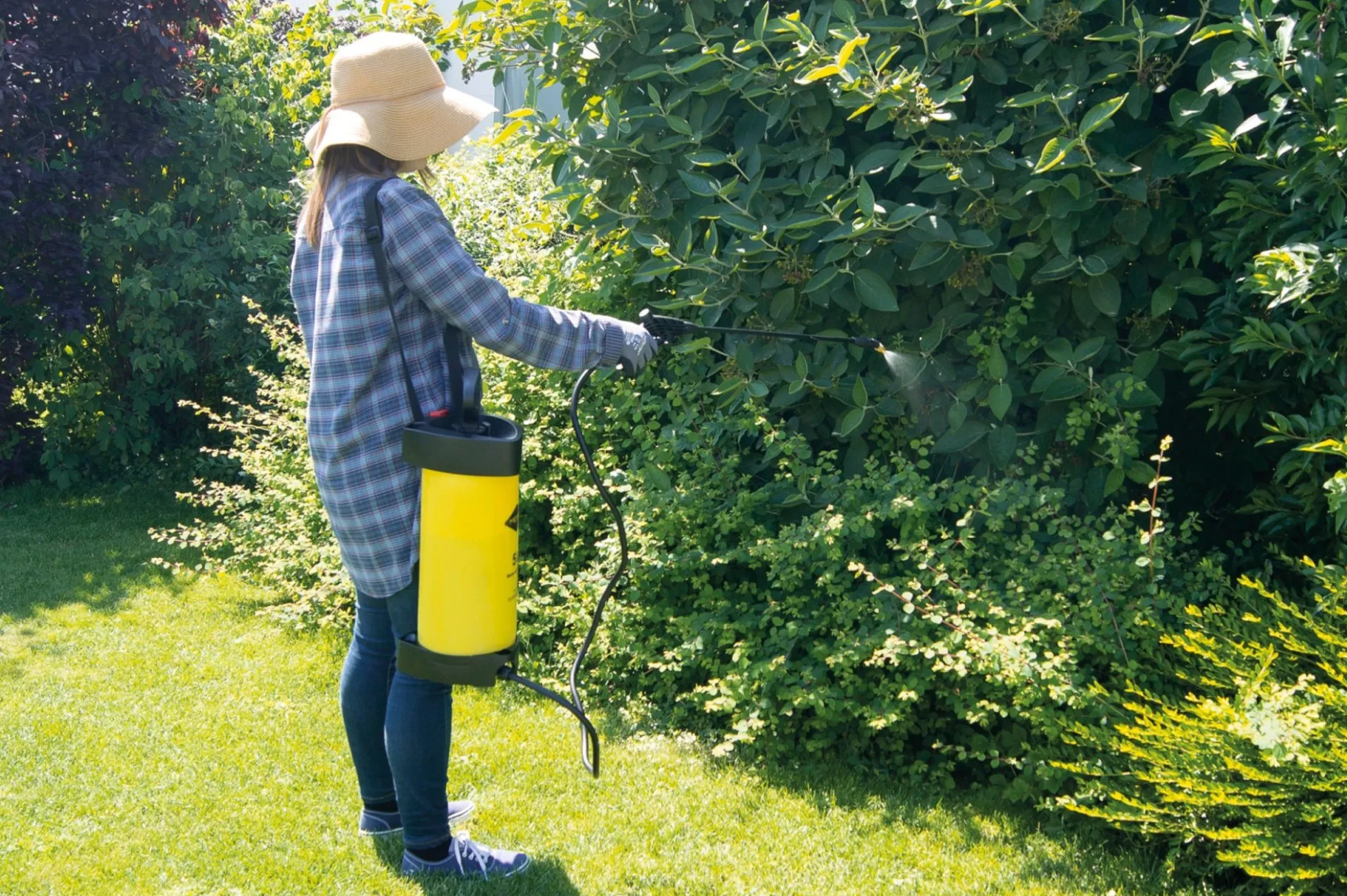 Mesto Flori tryksprøjte, 5 liter