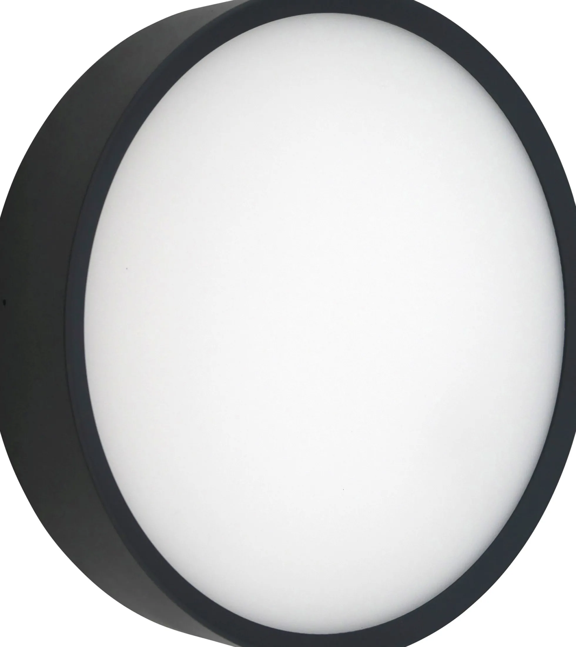 Nordtronic Zoe, udendørs LED væglampe / loftlampe, dæmpbar, sort