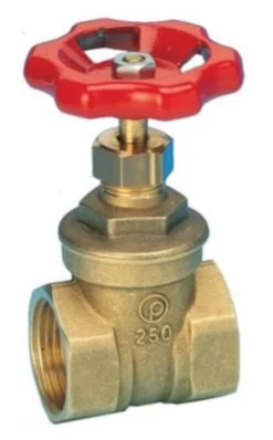 Skydeventil 3", muffe/muffe - Pettinaroli