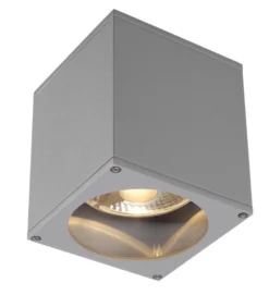 SLV Big Theo udendørs loftlampe, GU10