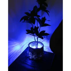 Vandtæt LED modul, 12V DC, IP66, 1,1W, dæmpbar