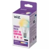 WiZ E27 LED-pære, Globe, 806lm, Tunable White, 8 W, WiFi/Matter