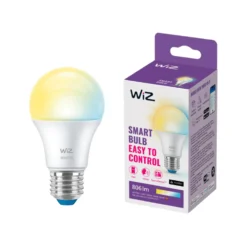 WiZ E27 LED-pære, Globe, 806lm, Tunable White, 8 W, WiFi/Matter