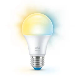 WiZ E27 LED-pære, Globe, 806lm, Tunable White, 8 W, WiFi/Matter