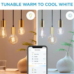 WiZ E27 LED-pære, ST64 amber, 640lm, Tunable White, 7 W, WiFi/Matter - 2 pak inkl. remote