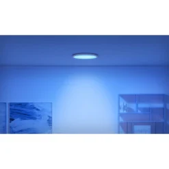 WiZ SuperSlim plafond, Color, Ø43, 118lm, 22W, WiFi/Matter, hvid