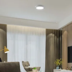 24W LED loftslampe, Ø28,9cm, højde: 3,12cm, hvid kant, varm kulør