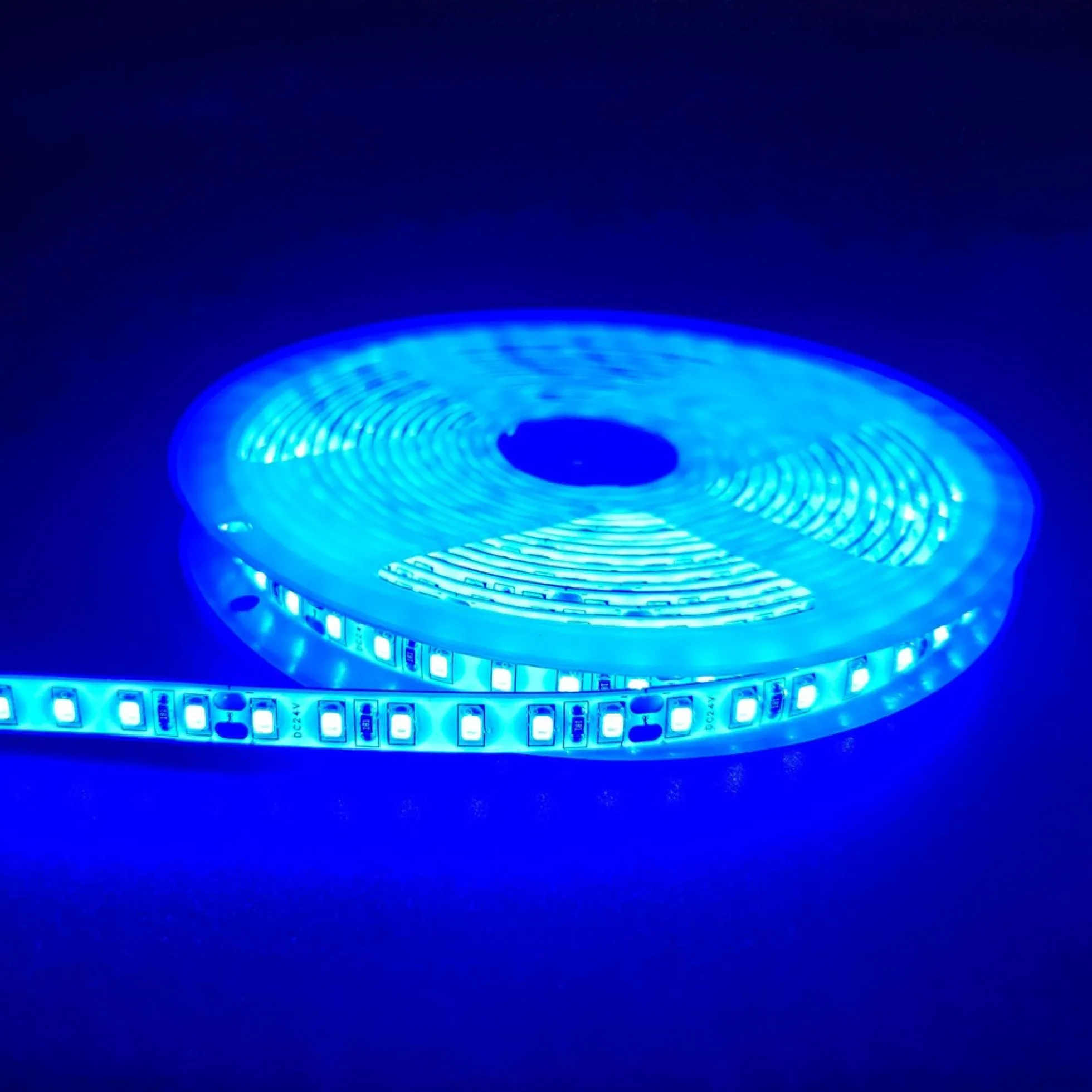 10W/m LED strip, 24V DC, IP65, 120 LED pr. meter, 5 meter